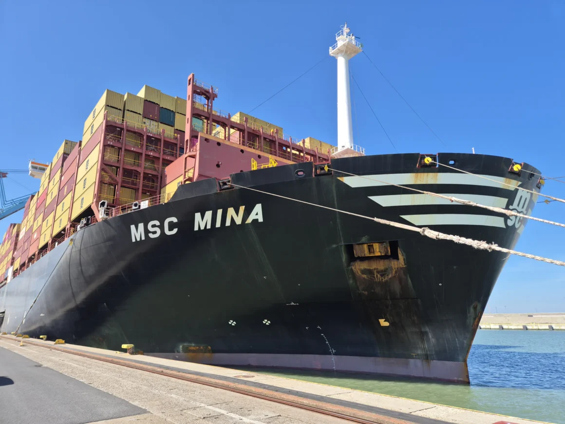 Sea MSC Mina sets depth record in Zeebrugge port. MSC Mina sets depth record in Zeebrugge port.