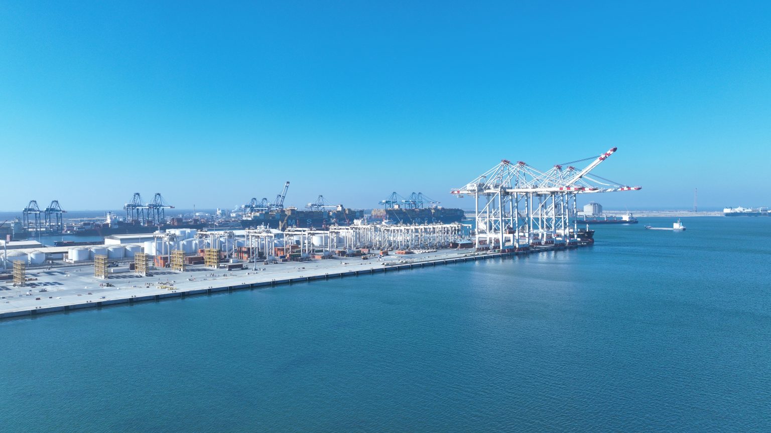 dact-3-1-1536×864-1