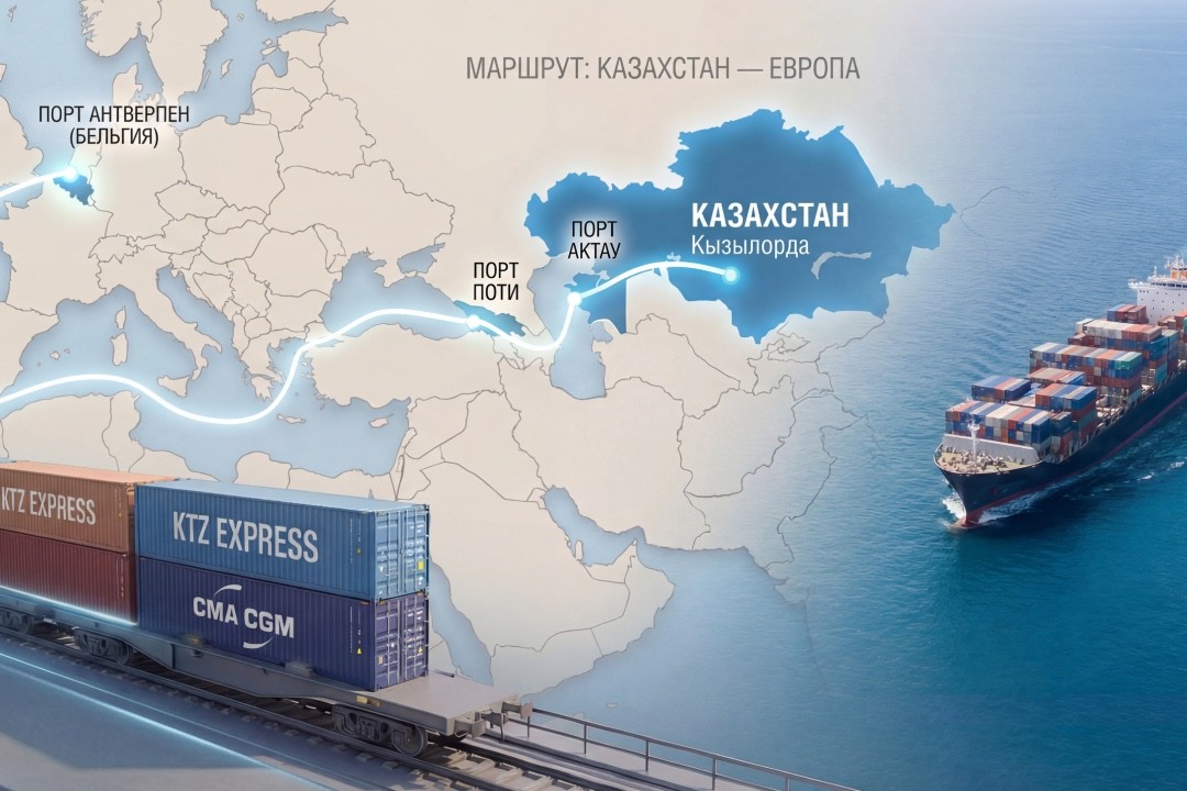 whatsapp-image-2026-02-18-at-154513-69959bce228ae